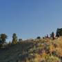lunchhill.jpg