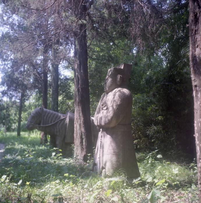 haiou07.jpg